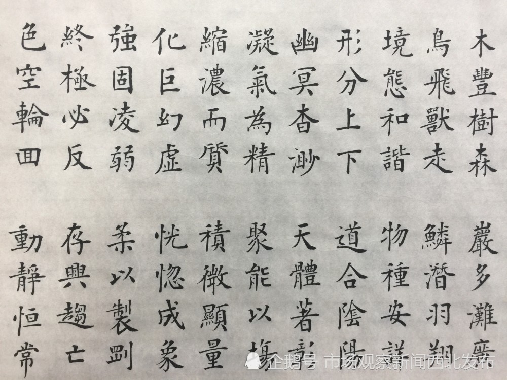 楷书|龙新社四千字文楷书作品欣赏