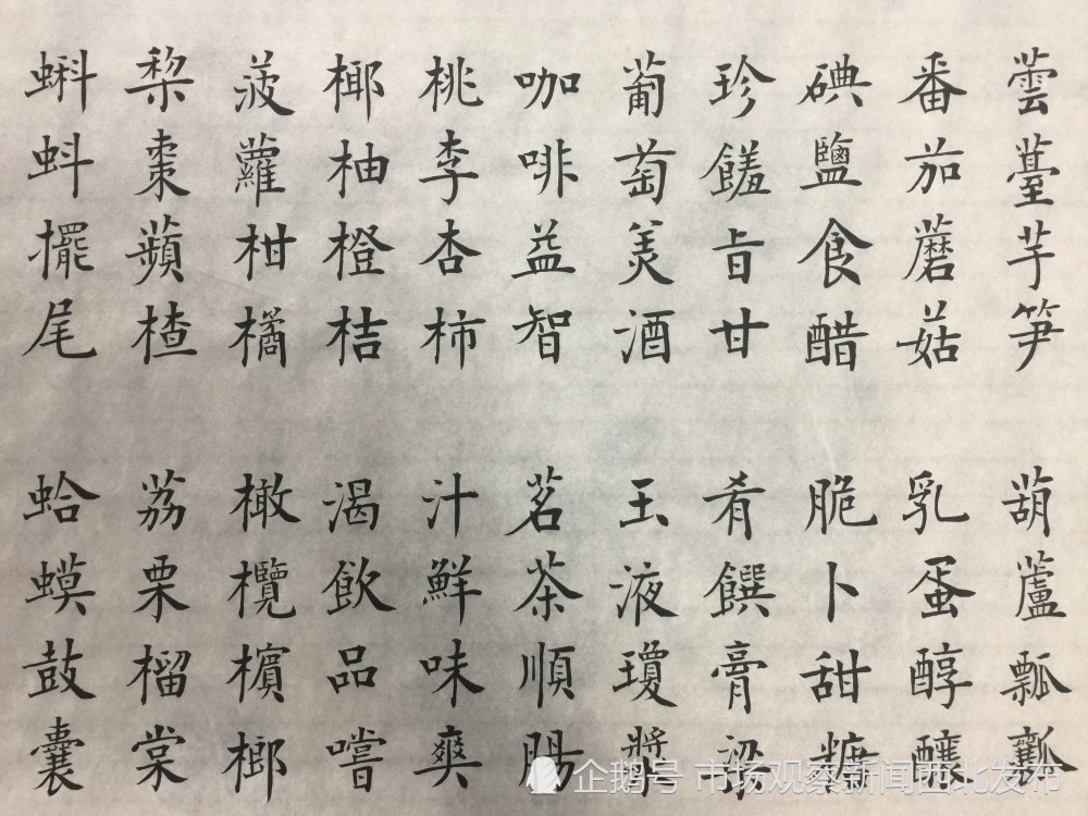 楷书|龙新社四千字文楷书作品欣赏