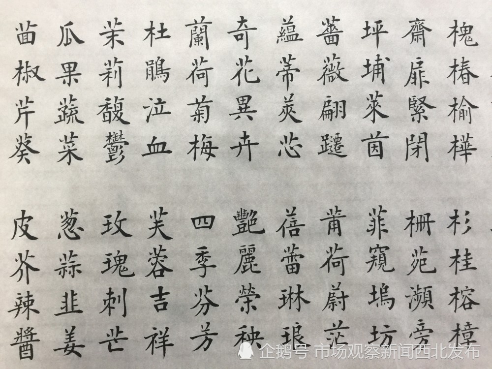 楷书|龙新社四千字文楷书作品欣赏