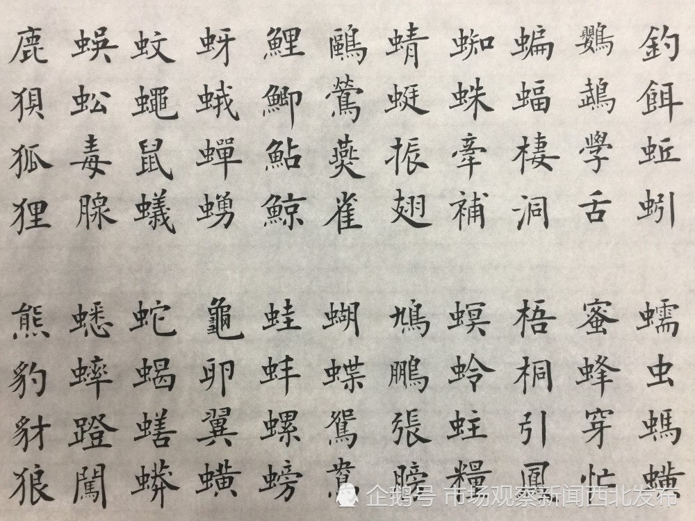 楷书|龙新社四千字文楷书作品欣赏