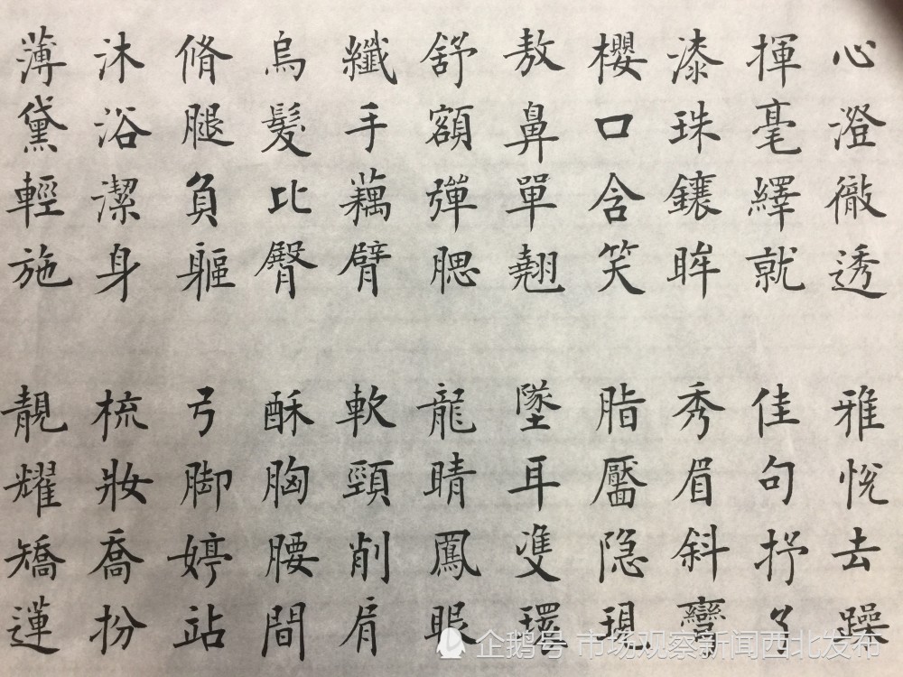 楷书|龙新社四千字文楷书作品欣赏