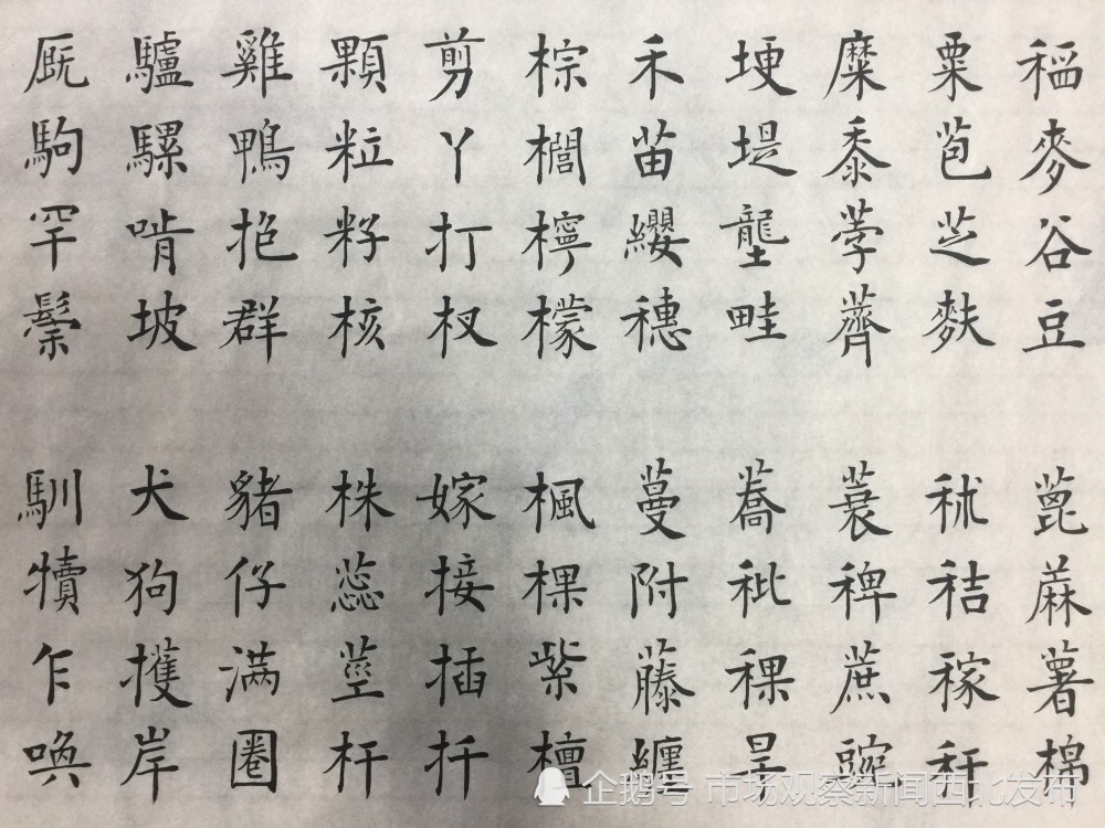 楷书|龙新社四千字文楷书作品欣赏