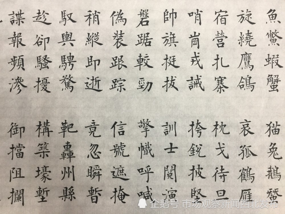 楷书|龙新社四千字文楷书作品欣赏