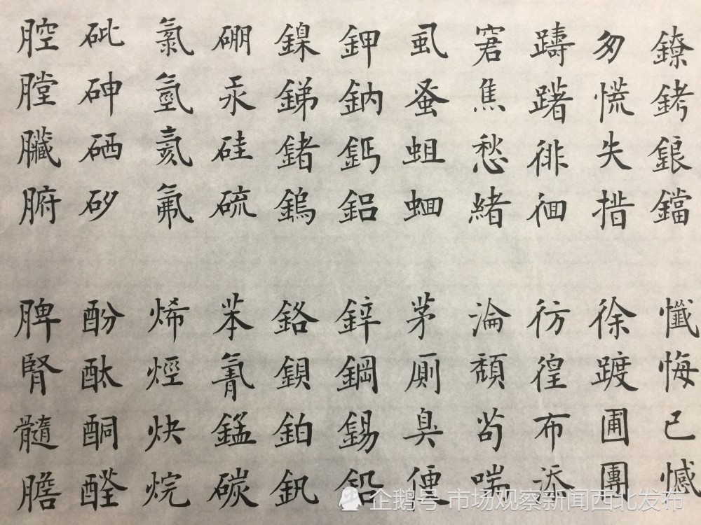 楷书|龙新社四千字文楷书作品欣赏