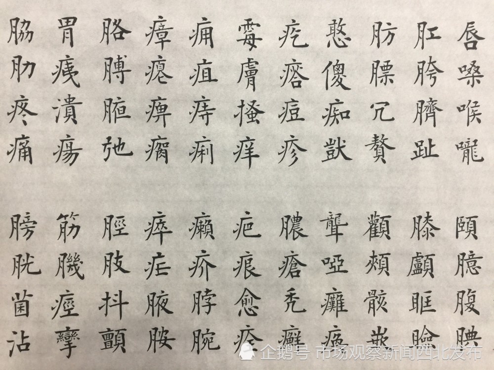楷书|龙新社四千字文楷书作品欣赏