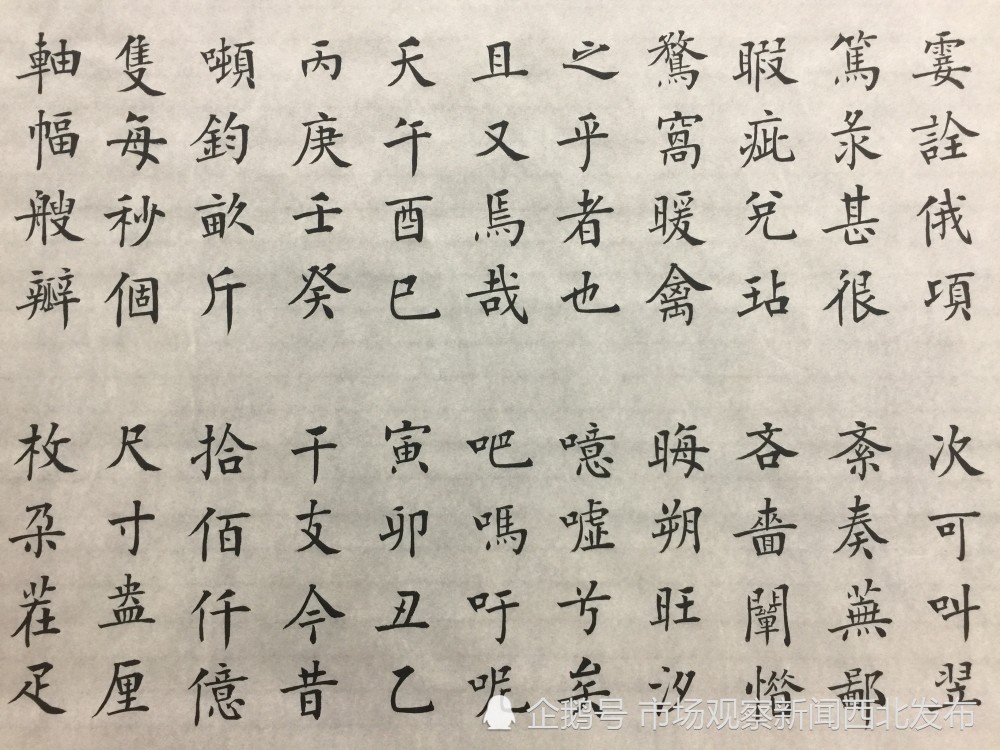 楷书|龙新社四千字文楷书作品欣赏
