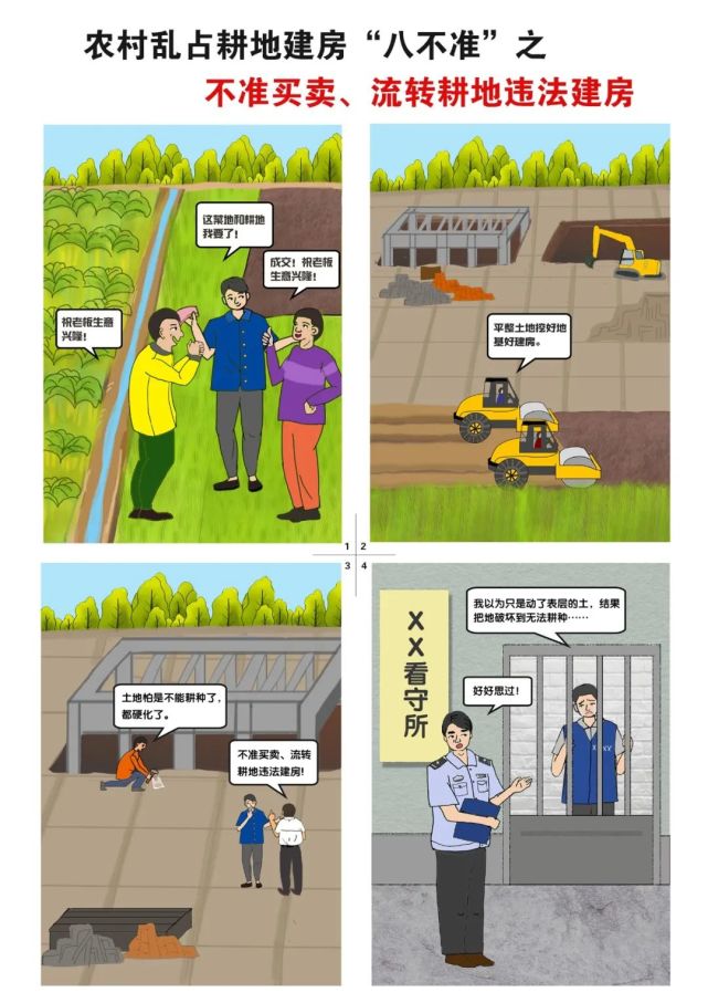 农村乱占耕地建房八不准系列漫画