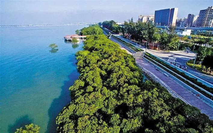 西乡街道公园蝶变之路 尽显家园生态之美