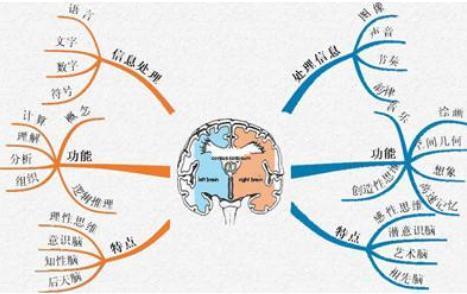 孩子数学学不好 脑科学研究表明 从小的训练可以提高数学成绩 孩子 智商 专注力 游戏书 专注力训练