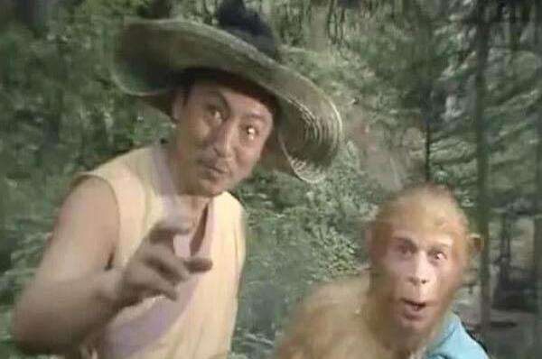 孙悟空|难怪樵夫不拜菩提为师，这才是真相：很残酷，但也很现实！