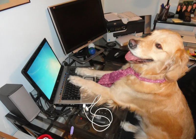 骨灰盒|安静小区“无人入住”竟摆10万个骨灰盒，门口悬挂牌匾和大红花