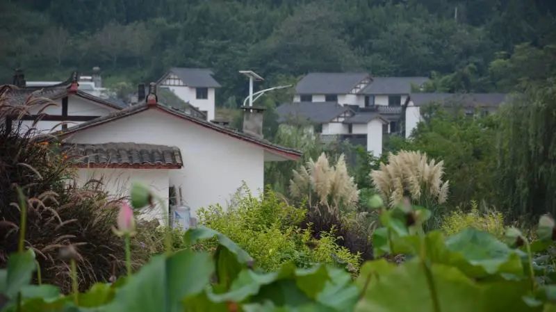 平泉街道荷桥村 于村中望山见水 用文化留住乡愁 腾讯新闻