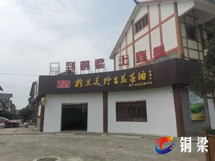 铜梁黄桷门村:一座幸福感满满的美丽村庄