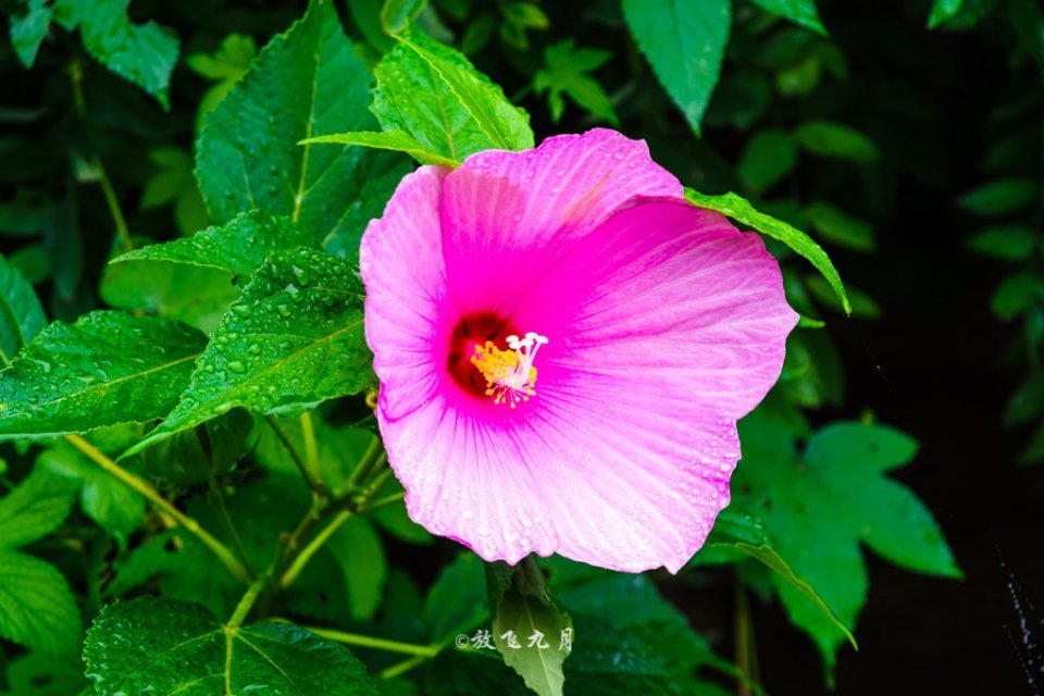 北京|北京雨天自驾路线，云雾缭绕宛如仙境，不输太行山和江南水乡