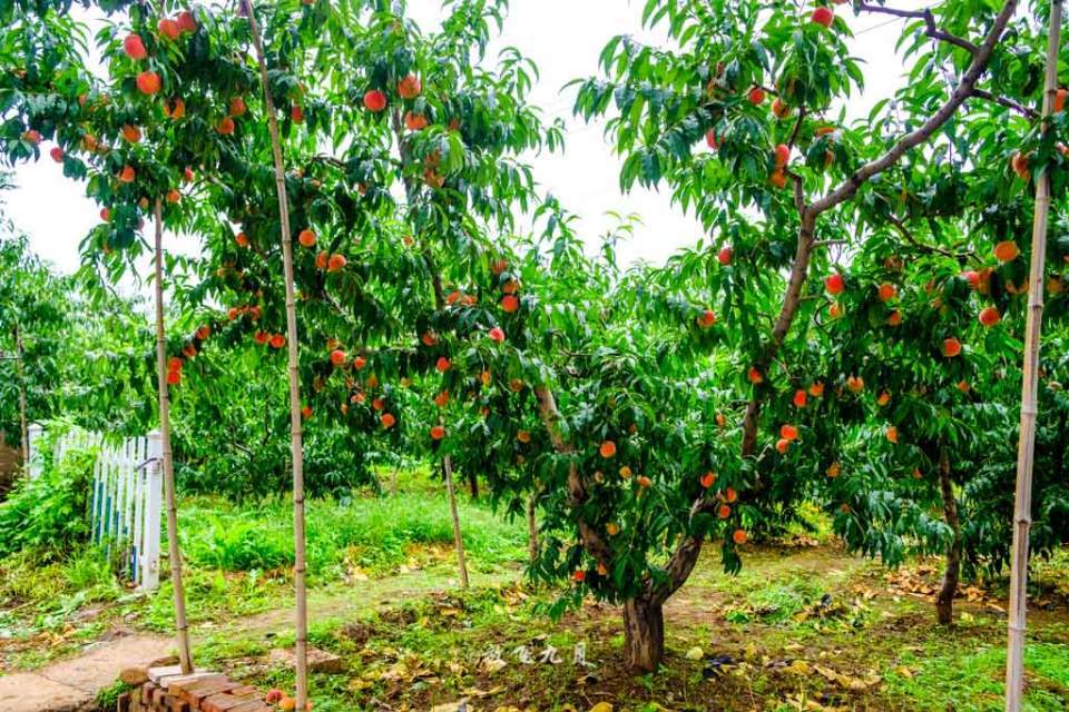 北京|北京雨天自驾路线，云雾缭绕宛如仙境，不输太行山和江南水乡