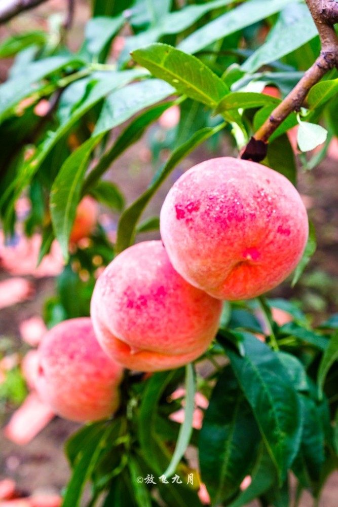 北京|北京雨天自驾路线，云雾缭绕宛如仙境，不输太行山和江南水乡