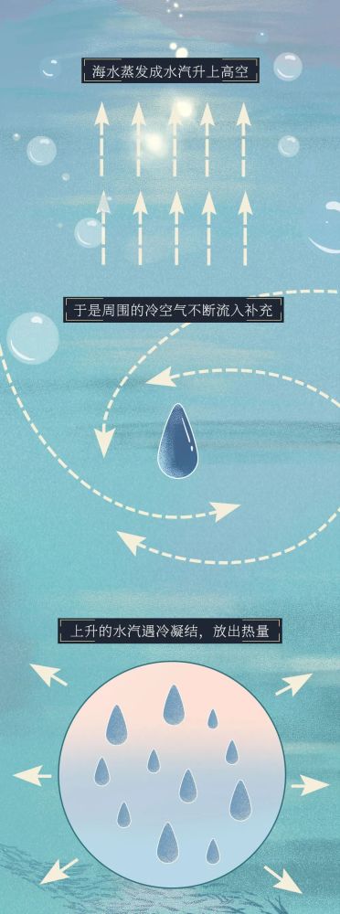 红色预警|红色预警！台风登陆全过程曝光