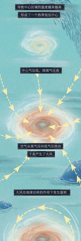 红色预警|红色预警！台风登陆全过程曝光