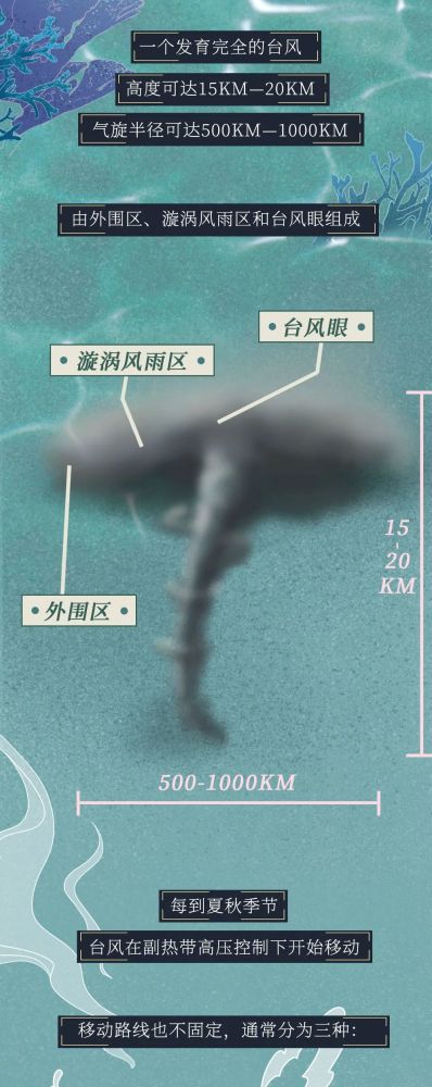 红色预警|红色预警！台风登陆全过程曝光