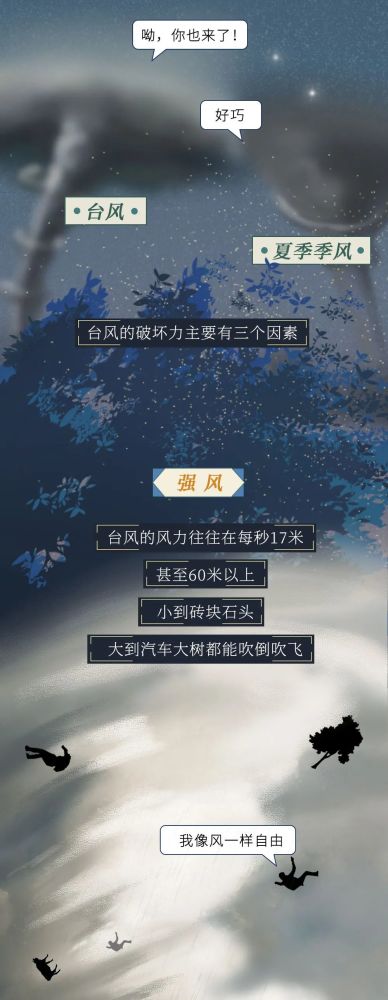 红色预警|红色预警！台风登陆全过程曝光