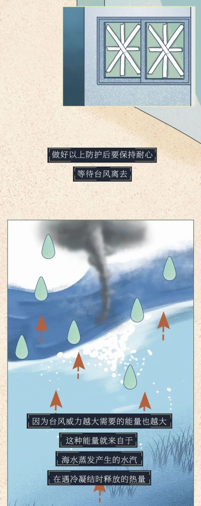 红色预警|红色预警！台风登陆全过程曝光