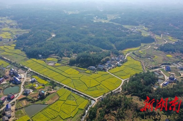 杨林村,新事多,穷窝窝变金窝窝|市农业农村局|平江县|熊璋辉|金窝窝