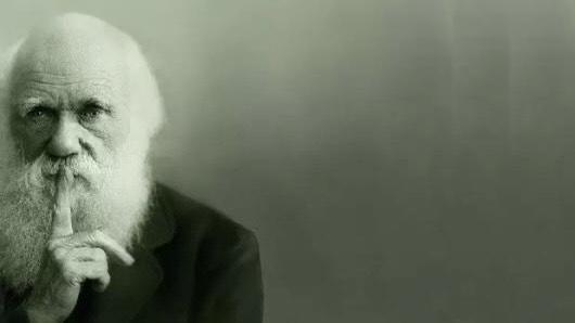 物种|所有物种都有进攻手段，为何人类没有进化出攻击性器官？