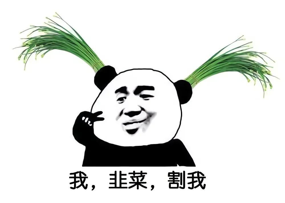 韭菜杯今晚再战 彩色能否过佛爷这关?