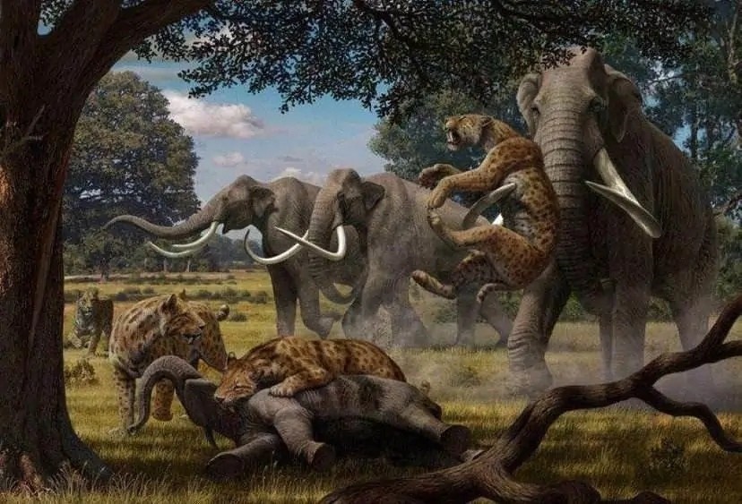 物种|所有物种都有进攻手段，为何人类没有进化出攻击性器官？