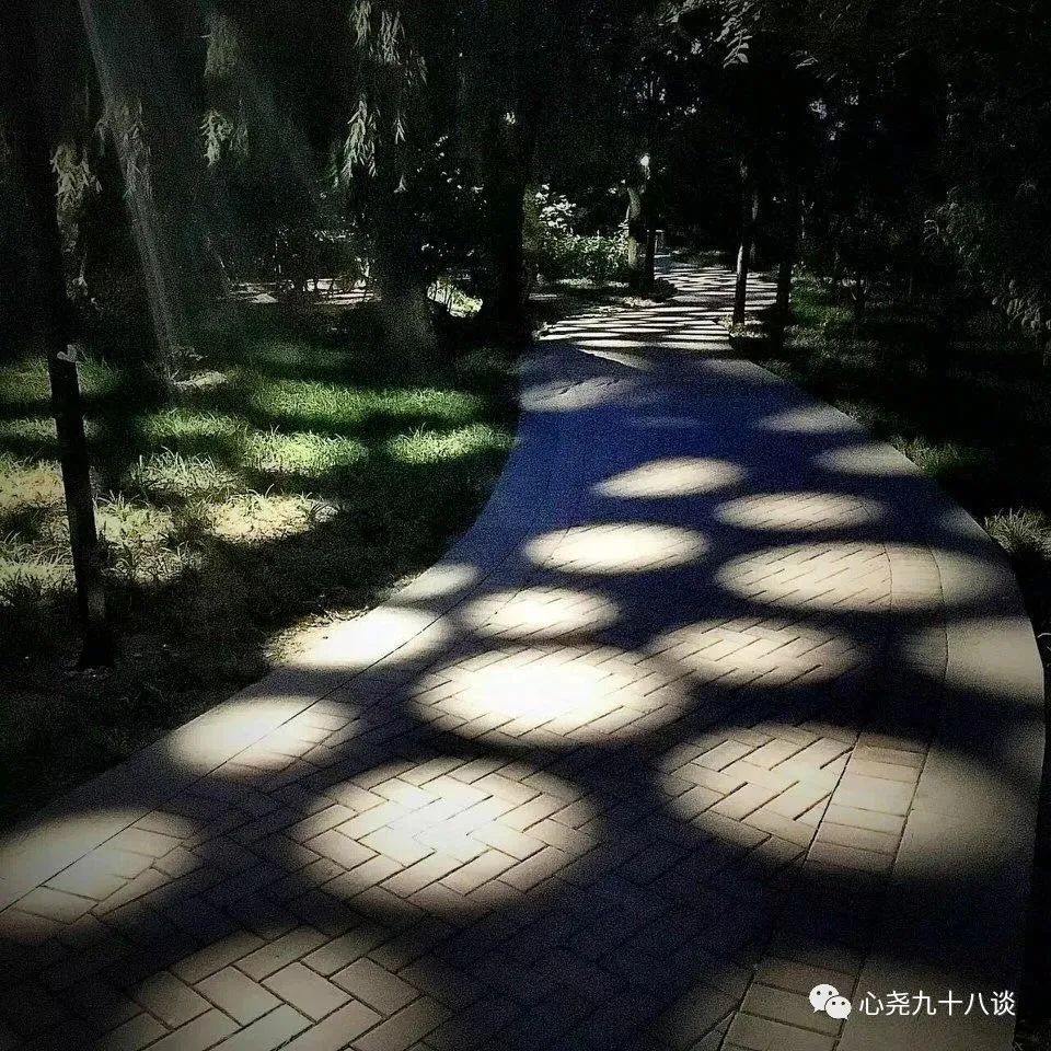 北二环|昔日被地铁掩埋的太平湖，如今北二环边儿的方寸宁静