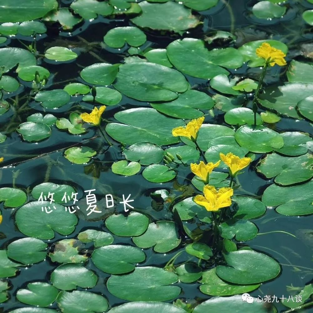 北二环|昔日被地铁掩埋的太平湖，如今北二环边儿的方寸宁静