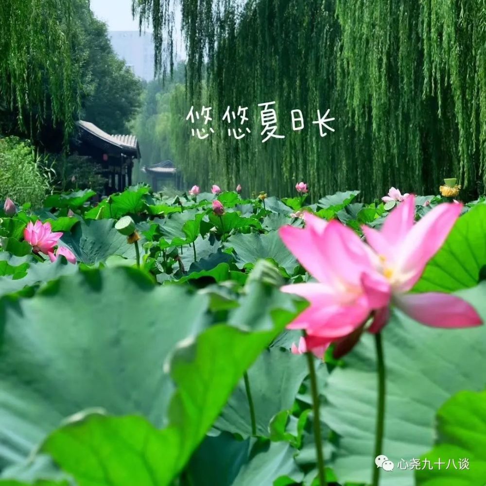 北二环|昔日被地铁掩埋的太平湖，如今北二环边儿的方寸宁静