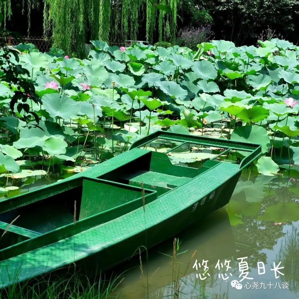 北二环|昔日被地铁掩埋的太平湖，如今北二环边儿的方寸宁静