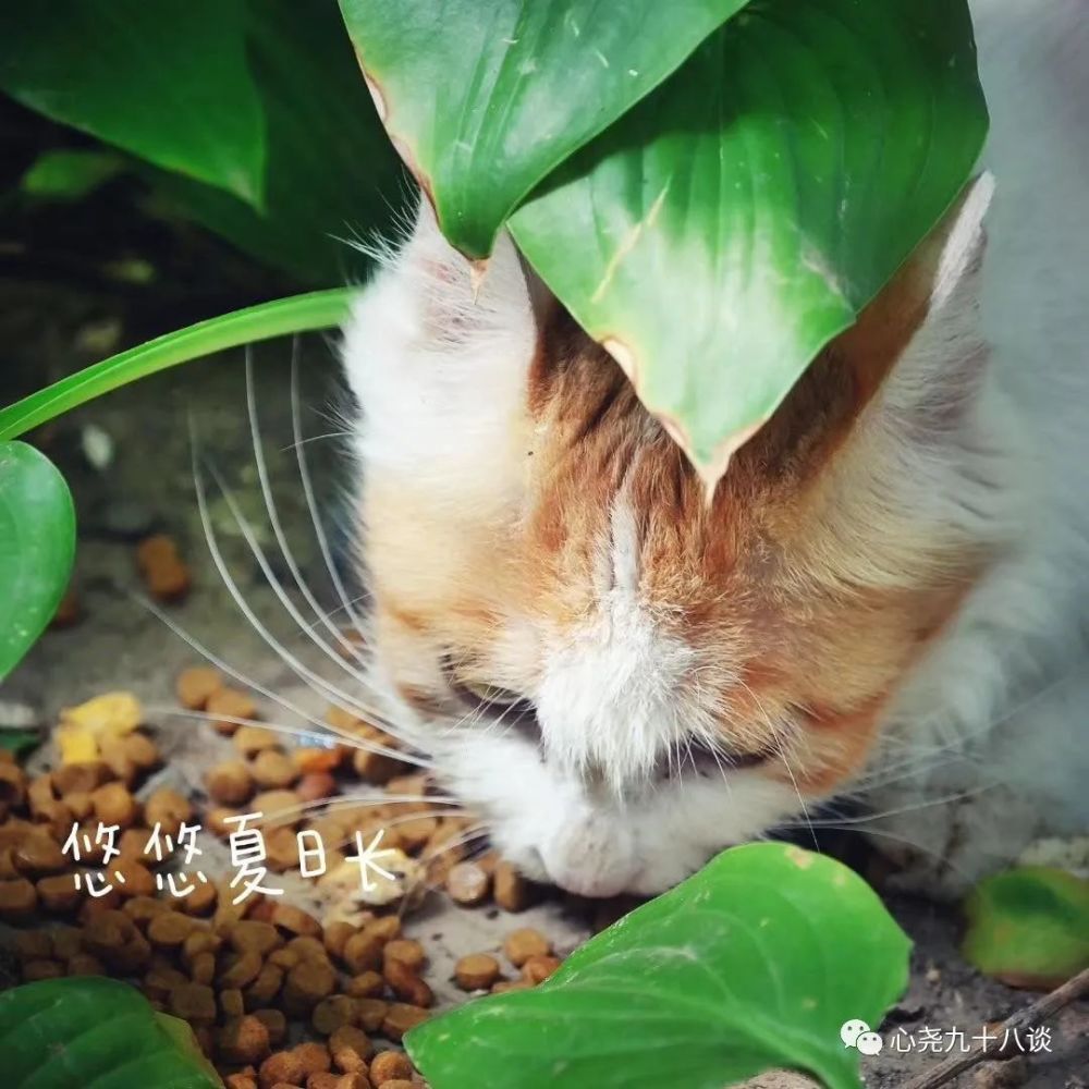 北二环|昔日被地铁掩埋的太平湖，如今北二环边儿的方寸宁静