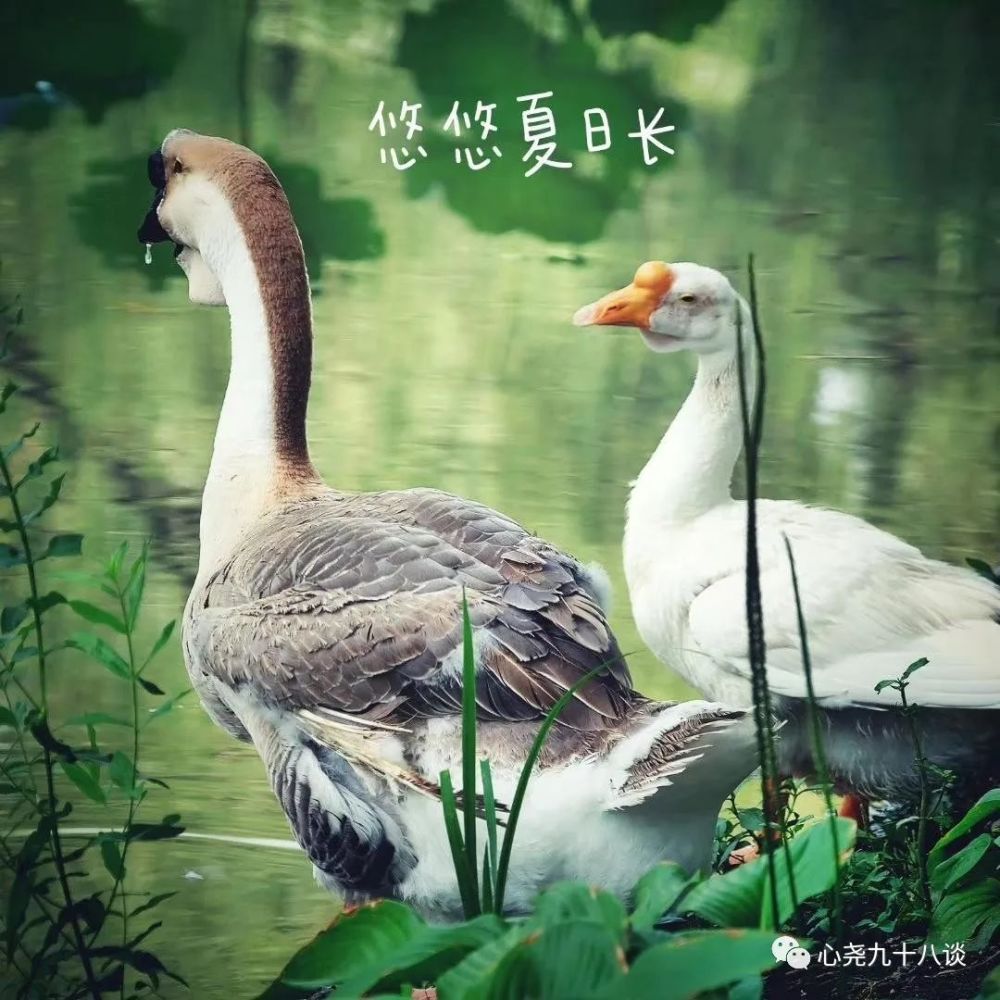 北二环|昔日被地铁掩埋的太平湖，如今北二环边儿的方寸宁静