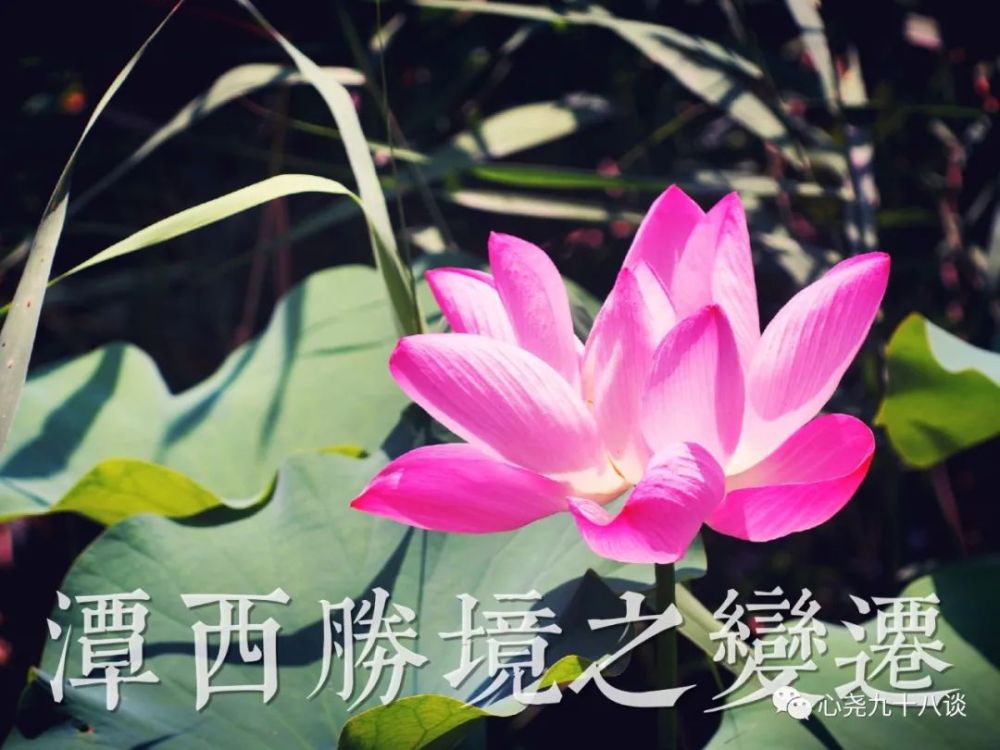 北二环|昔日被地铁掩埋的太平湖，如今北二环边儿的方寸宁静