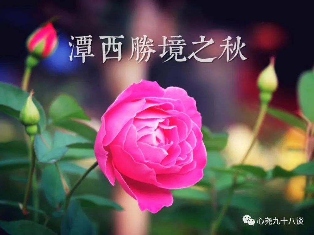 北二环|昔日被地铁掩埋的太平湖，如今北二环边儿的方寸宁静