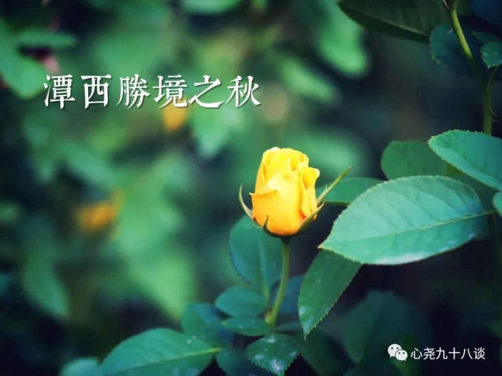 北二环|昔日被地铁掩埋的太平湖，如今北二环边儿的方寸宁静