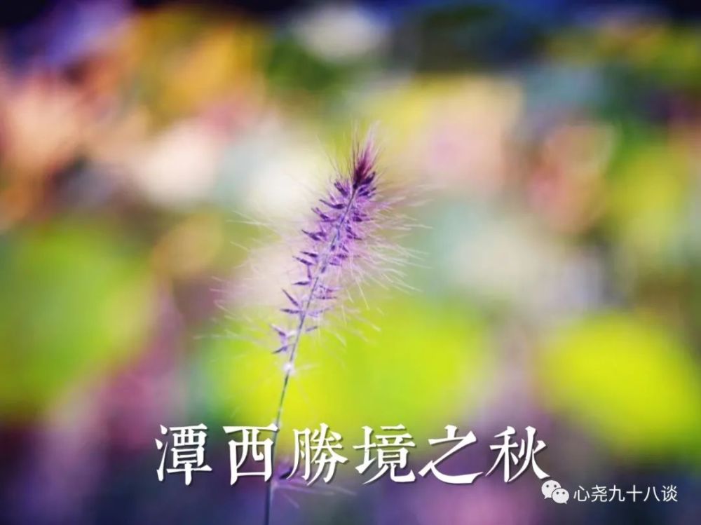 北二环|昔日被地铁掩埋的太平湖，如今北二环边儿的方寸宁静
