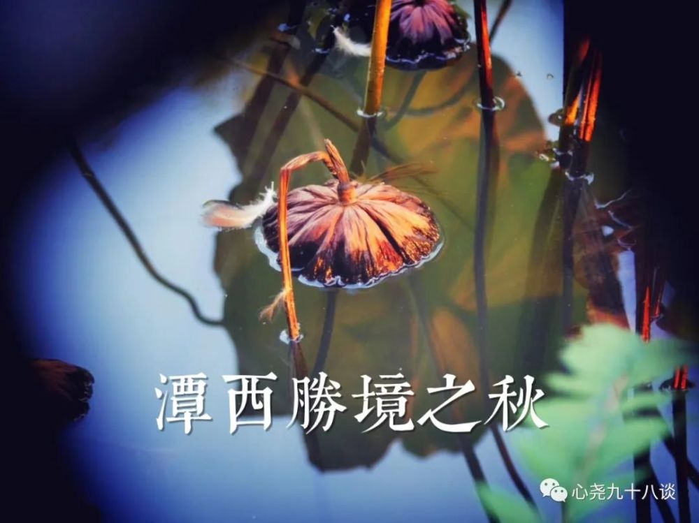 北二环|昔日被地铁掩埋的太平湖，如今北二环边儿的方寸宁静