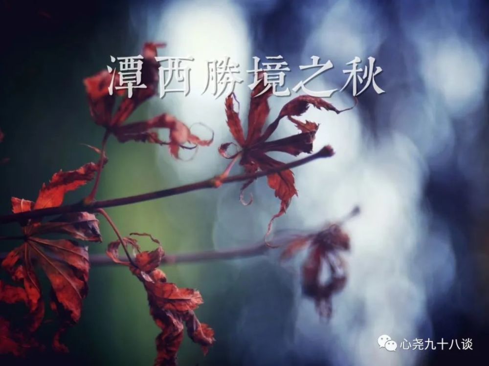 北二环|昔日被地铁掩埋的太平湖，如今北二环边儿的方寸宁静