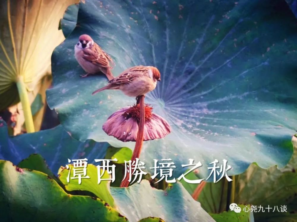 北二环|昔日被地铁掩埋的太平湖，如今北二环边儿的方寸宁静