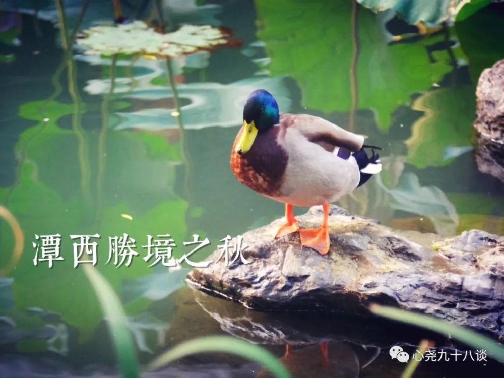 北二环|昔日被地铁掩埋的太平湖，如今北二环边儿的方寸宁静