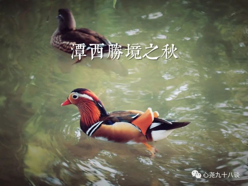 北二环|昔日被地铁掩埋的太平湖，如今北二环边儿的方寸宁静