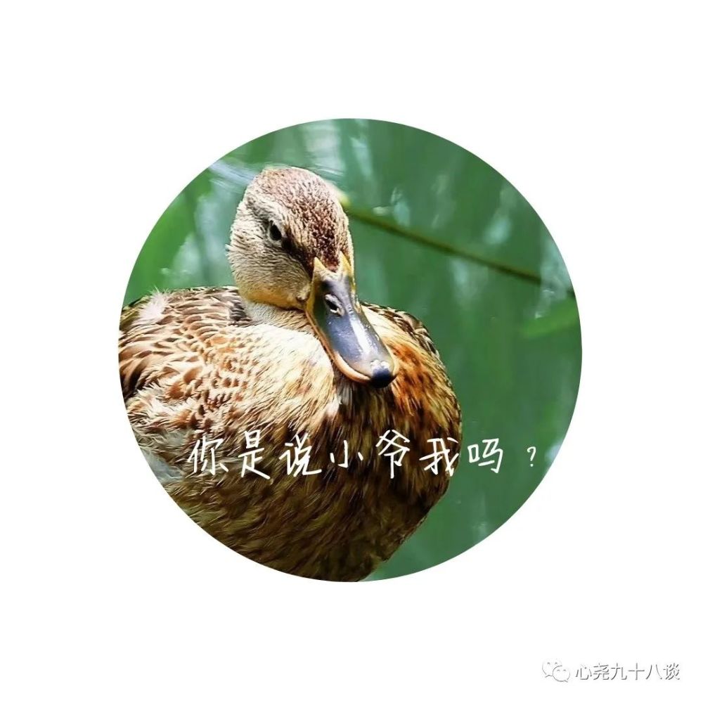 北二环|昔日被地铁掩埋的太平湖，如今北二环边儿的方寸宁静