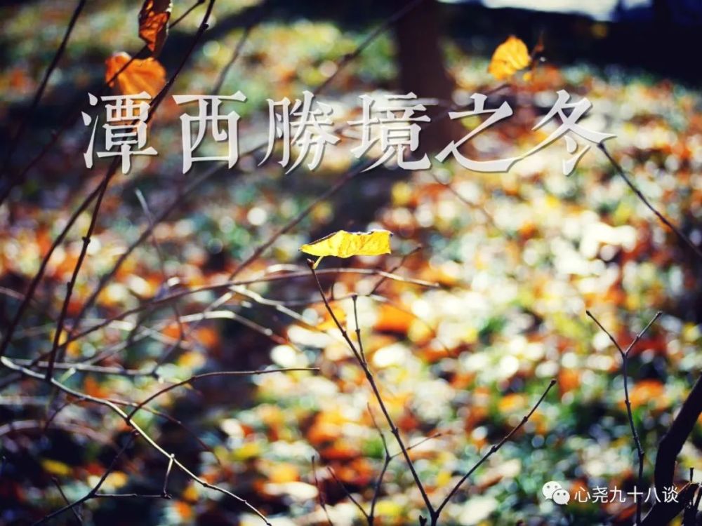 北二环|昔日被地铁掩埋的太平湖，如今北二环边儿的方寸宁静