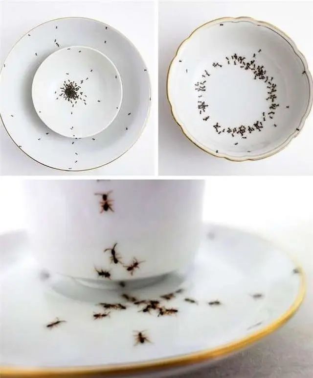 设计师|这么反人类的设计，你能忍？