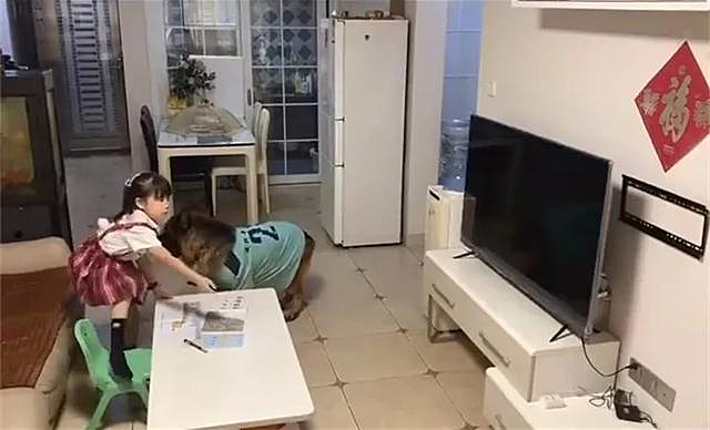 德牧|女孩不写作业偷看电视，让德牧帮忙望风：我怎么摊不上这种狗？