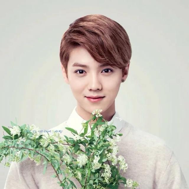 王菲|互联网大佬追星：你我本无缘，全靠我花钱