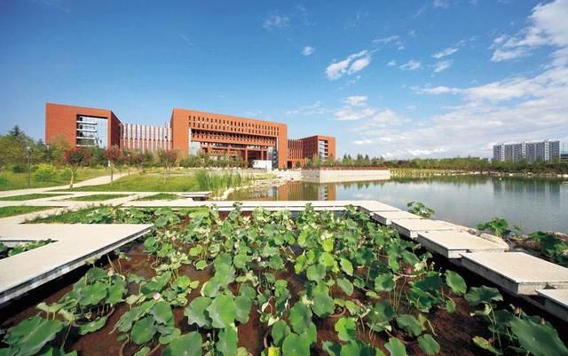 985大学|近几年录取线一直不高的5所985大学，明年高考生可继续关注并抄底